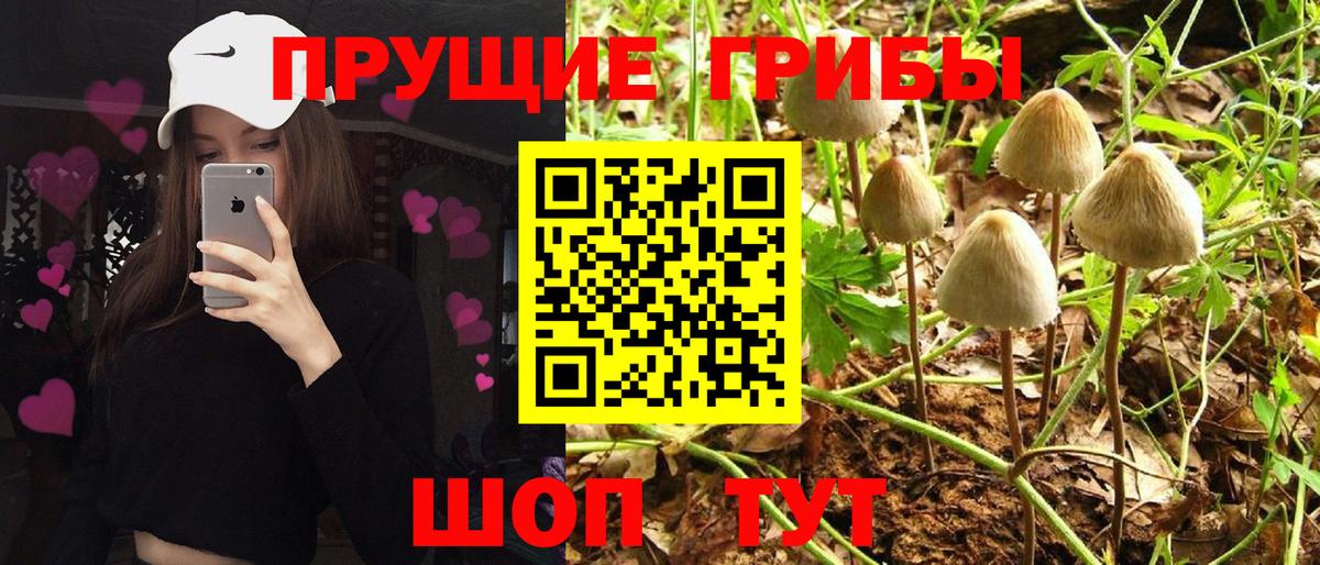 Галлюциногенные грибы Psilocybe  Псилоцибиновые грибы мицелий  Серпухов  Вход с VPN 